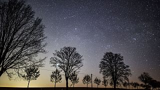 The starry sky shines in the night over an avenue in Petersdorf, eastern Germany, Monday, April 20, 2020.