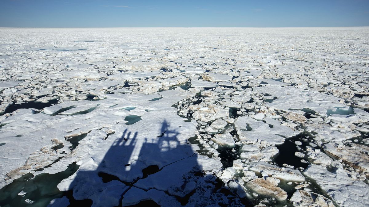 Kuzey Buz Denizi'nde 2050'ye kadar yaz mevsiminde buzullar yok olabilir