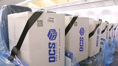 Fracht statt Passagiere: Airline transportiert Hilfsgüter