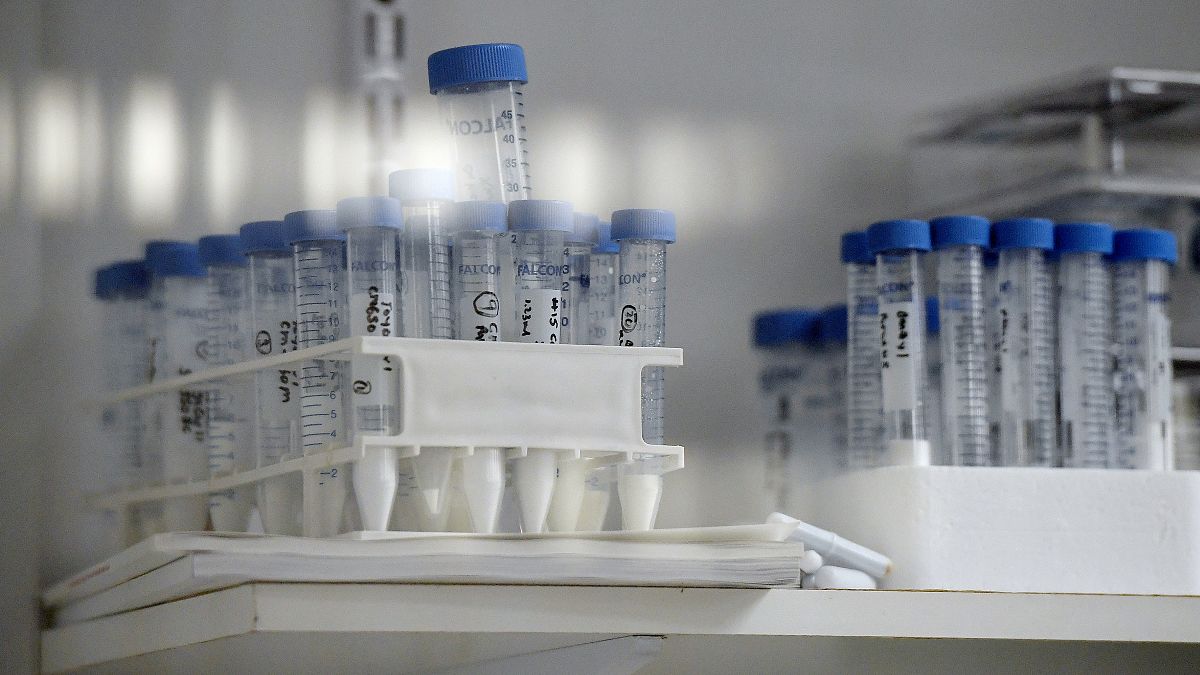 В ФРГ разрешены клинические испытания вакцины от коронавируса 