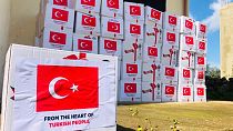 Türkiye'nin Lübnan'a yaptığı gıda yardımı (Arşiv)