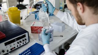 A researcher works on a vaccin against the new coronavirus COVID-19 at the Copenhagen's University research lab in Copenhagen, Denmark, on March 23, 2020.