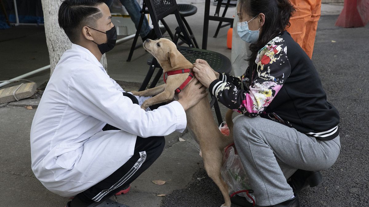 Koronavirüsün çıkış noktası olan Çin'in Vuhan kenti