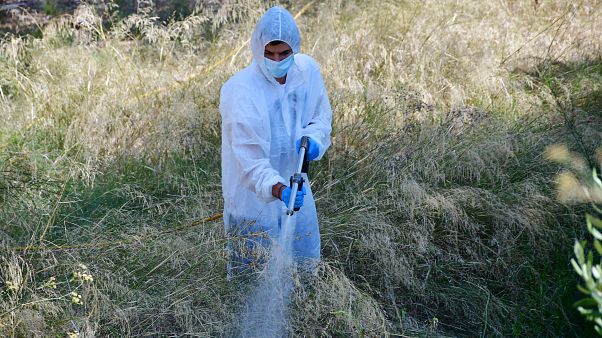 Σύστημα πρόγνωσης κινδύνου για τον ιό του Δυτικού Νείλου στην Κ. Μακεδονία Σύστημα πρόγνωσης κινδύνου για τον ιό του Δυτικού Νείλου στην Κ. Μακεδονία