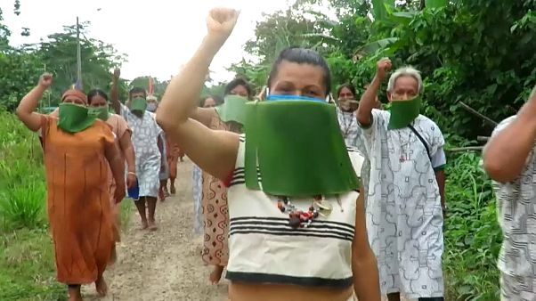 Un grito de socorro de la Amazonía Un grito de socorro de la Amazonía