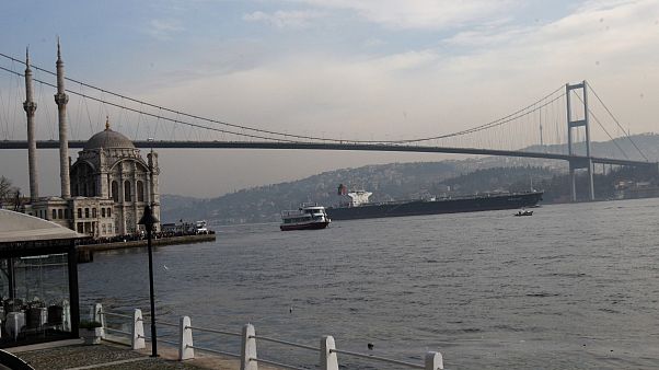 Covid 19: coprifuoco in Turchia ma non per i delfini Covid 19: coprifuoco in Turchia ma non per i delfini