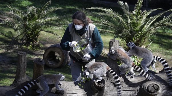 Bald Notschlachtungen? Zoos nagen am Hungertuch Bald Notschlachtungen? Zoos nagen am Hungertuch