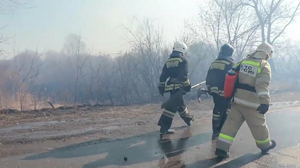 В Сибири полыхают лесные пожары В Сибири полыхают лесные пожары