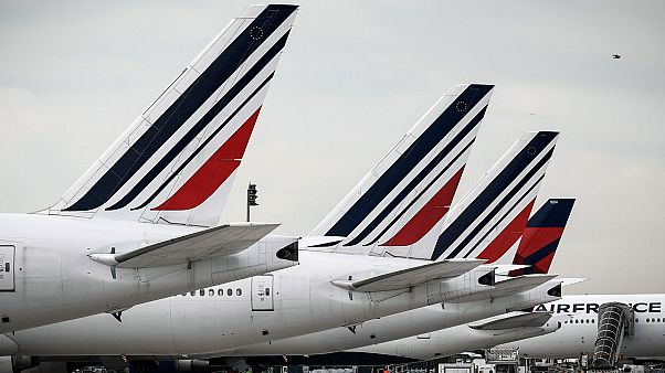 Des avions de la compagnie aérienne française Air France parqués sur le tarmac de l'aéroport de Roissy CDG, dans le nord de Paris, le 11 avril 2020. Des avions de la compagnie aérienne française Air France parqués sur le tarmac de l'aéroport de Roissy CDG, dans le nord de Paris, le 11 avril 2020.