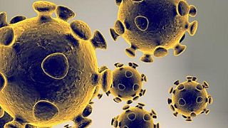محققان فرانسوی تاثیر «توسیلیزومب» در درمان کووید-۱۹ را تایید کردند