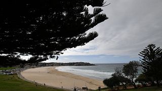 مشهد عام للشاطئ في سيدني - أستراليا - 2020/04/28