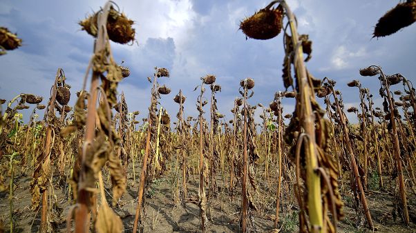 Hungary Drought Hungary Drought