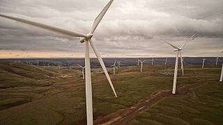 Large wind farm, wind turbines