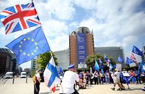 Brüksel'de Avrupa Birliği Komisyonu önünde Brexit karşıtı protesto