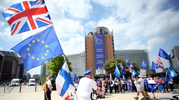 Brüksel'de Avrupa Birliği Komisyonu önünde Brexit karşıtı protesto Brüksel'de Avrupa Birliği Komisyonu önünde Brexit karşıtı protesto