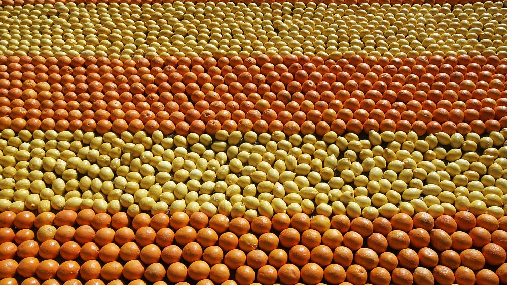 Italie, Espagne : hausse des prix des citrons