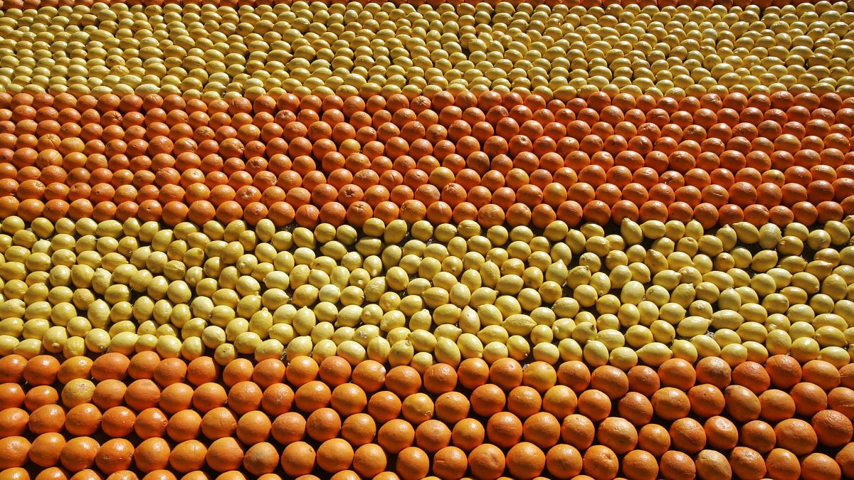 Tapis de citrons et d'oranges lors de la Fête du Citron à Menton (France) en 2009. Photo d'illustration.