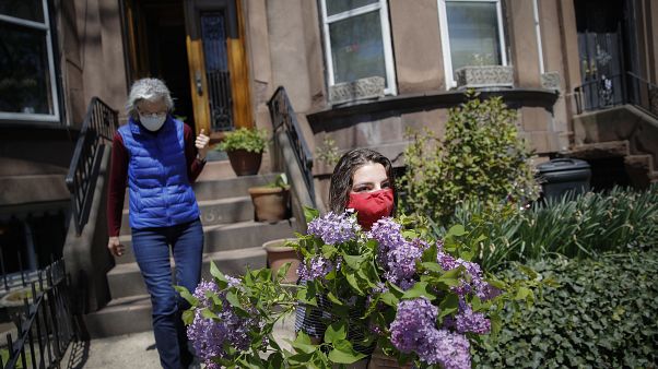 Covid-19 fa strage di fiori. Invenduti in tutta Europa, altro settore in ginocchio Covid-19 fa strage di fiori. Invenduti in tutta Europa, altro settore in ginocchio