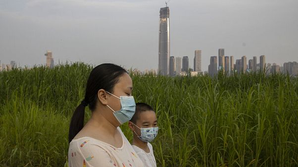 OMS insiste: o vírus tem "origens naturais" OMS insiste: o vírus tem "origens naturais"