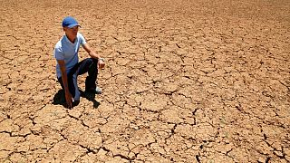 هشدار دانشمندان: یک میلیارد نفر در سال ۲۰۷۰ در گرمای شدید زندگی خواهند کرد