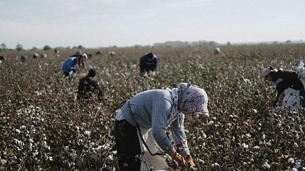 ازبکستان؛ ۵۰ هزار فرد بدون تابعیت می توانند درخواست شهروندی کنند ازبکستان؛ ۵۰ هزار فرد بدون تابعیت می توانند درخواست شهروندی کنند