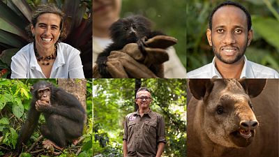 ‘Green Oscars’ award conservation heroes with £60K for saving endangered animals ‘Green Oscars’ award conservation heroes with £60K for saving endangered animals