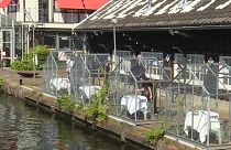 Coronavirus: Amsterdam art centre uses greenhouses to offer outdoor eating amid COVID-19 pandemic
