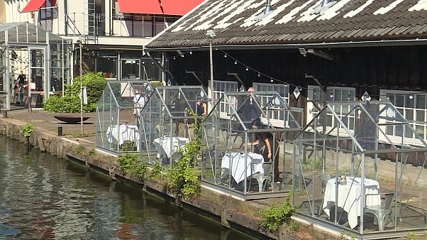 Coronavirus: Amsterdam art centre uses greenhouses to offer outdoor eating amid COVID-19 pandemic Coronavirus: Amsterdam art centre uses greenhouses to offer outdoor eating amid COVID-19 pandemic