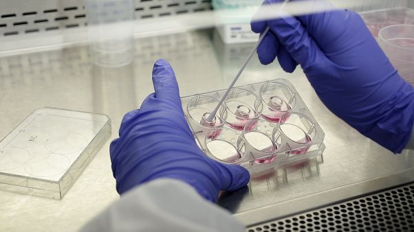 Animal Tested Cosmetics Bans Animal Tested Cosmetics Bans