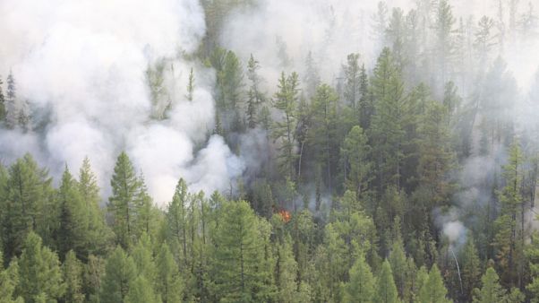 Russia Forest Fires Russia Forest Fires