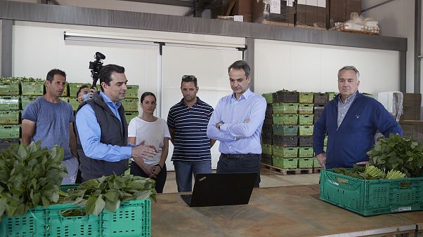 greekfarms.gov.gr: Σε αγρόκτημα στον Αυλώνα ο Κ. Μητσοτάκης greekfarms.gov.gr: Σε αγρόκτημα στον Αυλώνα ο Κ. Μητσοτάκης