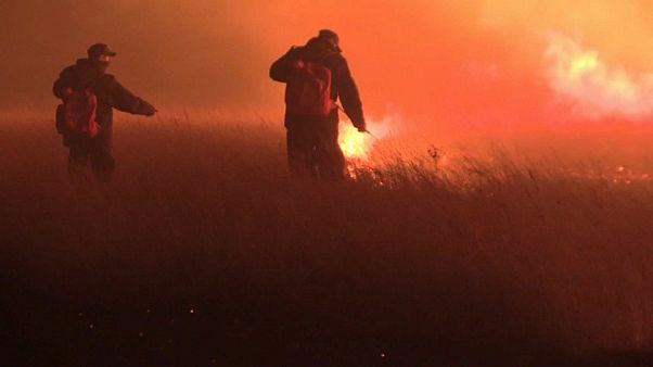 Arde Siberia Arde Siberia