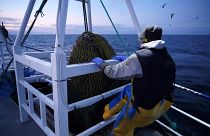 Fishermen work aboard the Good Fellowship fishing trawler, in the North Sea, off the coast of northeast England on January 21, 2020.