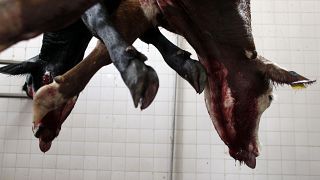 ILLUSZTRÁCIÓ: A cow hangs in a slaughter house on the outskirts of Buenos Aires, 2009.