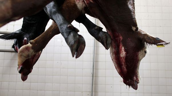 ILLUSZTRÁCIÓ: A cow hangs in a slaughter house on the outskirts of Buenos Aires, 2009. ILLUSZTRÁCIÓ: A cow hangs in a slaughter house on the outskirts of Buenos Aires, 2009.