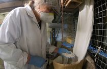 Coronavirus: 1,000-year-old mill brought back to life after lockdown baking sparks flour shortages