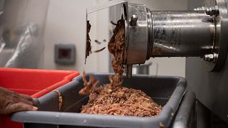 A húsipari kölcsönzött munkások között terjed a vírus Németországban