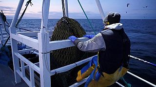 صيادون على متن سفينة صيد الأسماك قبالة ساحل شمال شرق بريطانيا في 21 يناير 2020