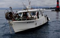 Море проблем: COVID-19 ударил по рыбной отрасли
