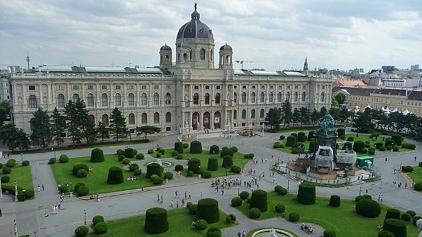 Vienna's Art History Museum Vienna's Art History Museum