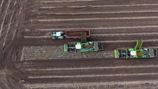 EU diskutiert neue Landwirtschaft EU diskutiert neue Landwirtschaft