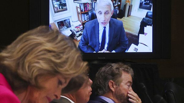 Anthony Fauci alerta al Senado de que EE.UU. se expone a "muertes innecesarias" Anthony Fauci alerta al Senado de que EE.UU. se expone a "muertes innecesarias"