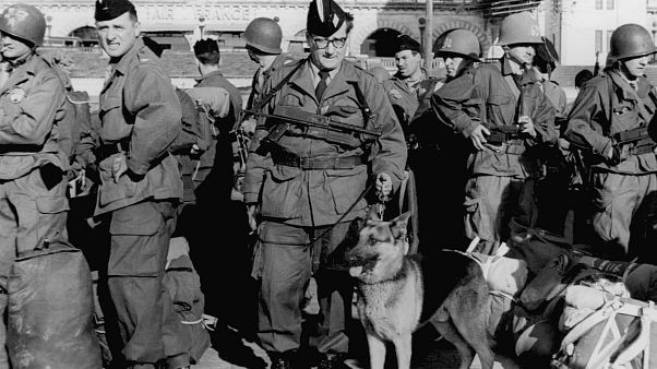 The 7th Mechanized Division from Germany arrive in Algiers March 30, 1956 with their pet, a huge Alsatian. (AP Photo) The 7th Mechanized Division from Germany arrive in Algiers March 30, 1956 with their pet, a huge Alsatian. (AP Photo)