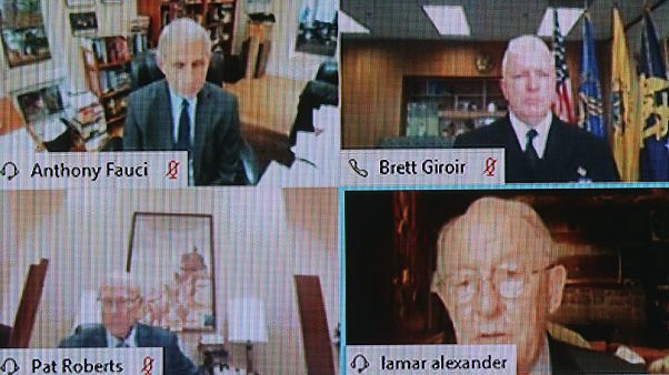 Fauci szenátusi videómeghallgatása Fauci szenátusi videómeghallgatása