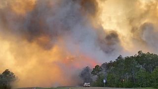 Florida Wildfires