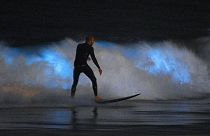 Virus Outbreak California