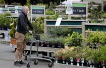 Centros de jardinagem reabrem no Reino Unido