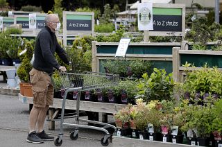 Centros de jardinagem reabrem no Reino Unido