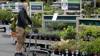 Regno Unito: pollice (verde) su! Riaprono i negozi di giardinaggio