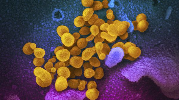 Virus Outbreak Inflammatory Condition Kids Virus Outbreak Inflammatory Condition Kids